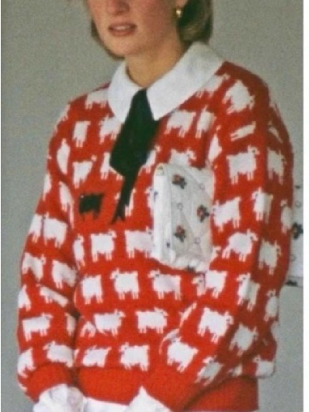 Warm & Wonderful women’s fitted “Diana edition” cotton sheep sweater size M